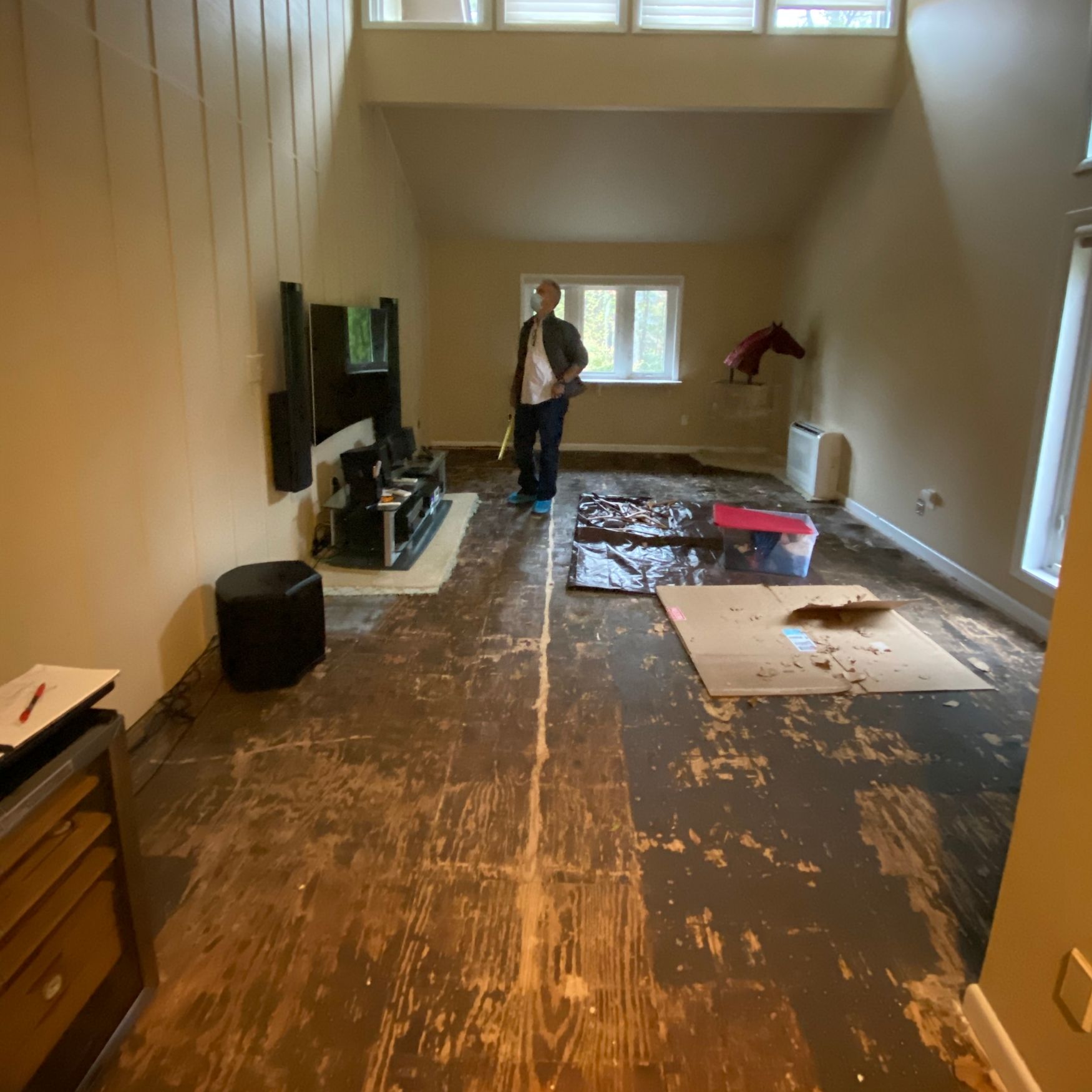 Basement